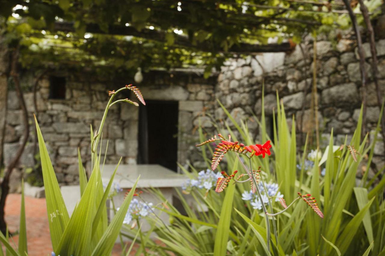 O Curralino Guest House Vilacoba Exterior photo