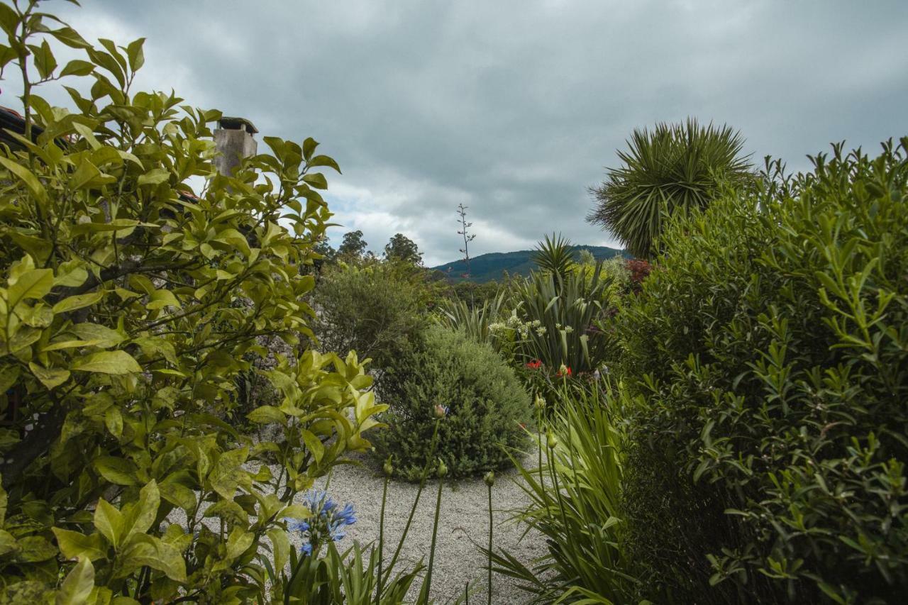 O Curralino Guest House Vilacoba Exterior photo